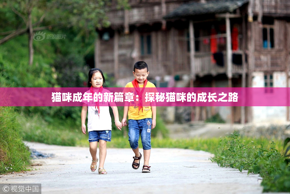 猫咪成年的新篇章：探秘猫咪的成长之路