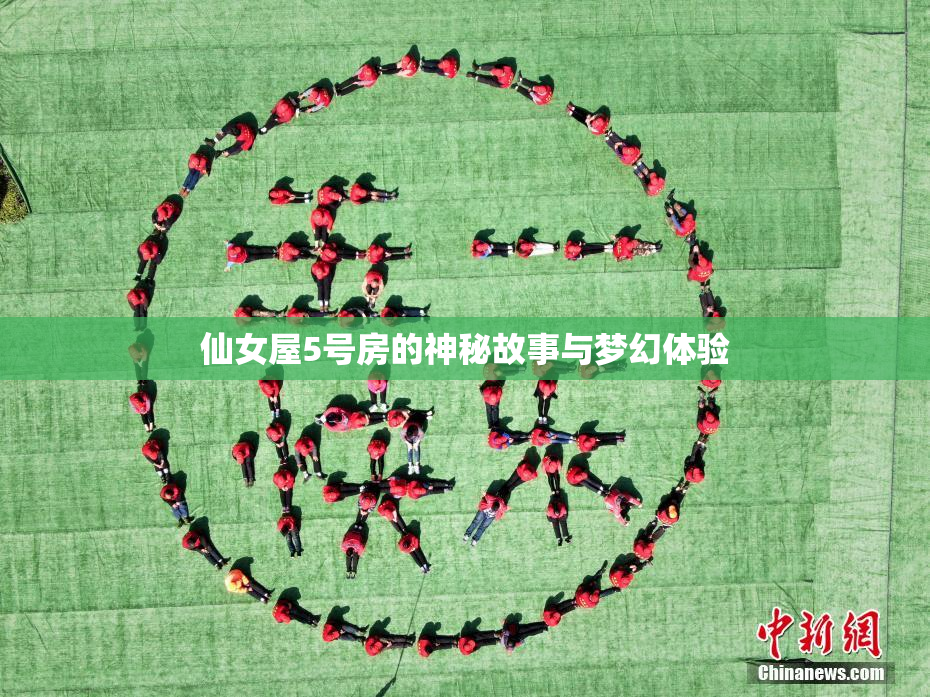 仙女屋5号房的神秘故事与梦幻体验