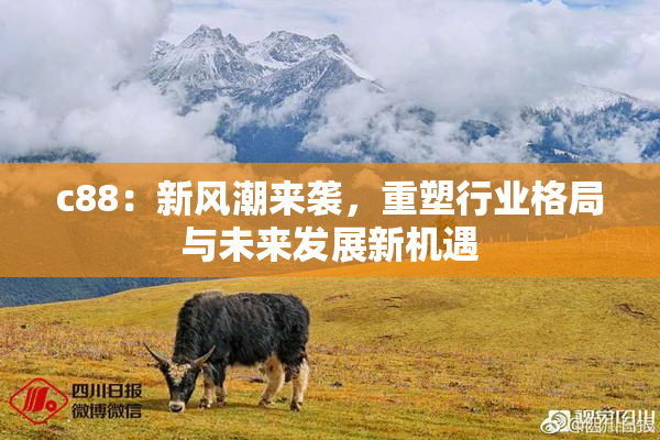c88：新风潮来袭，重塑行业格局与未来发展新机遇