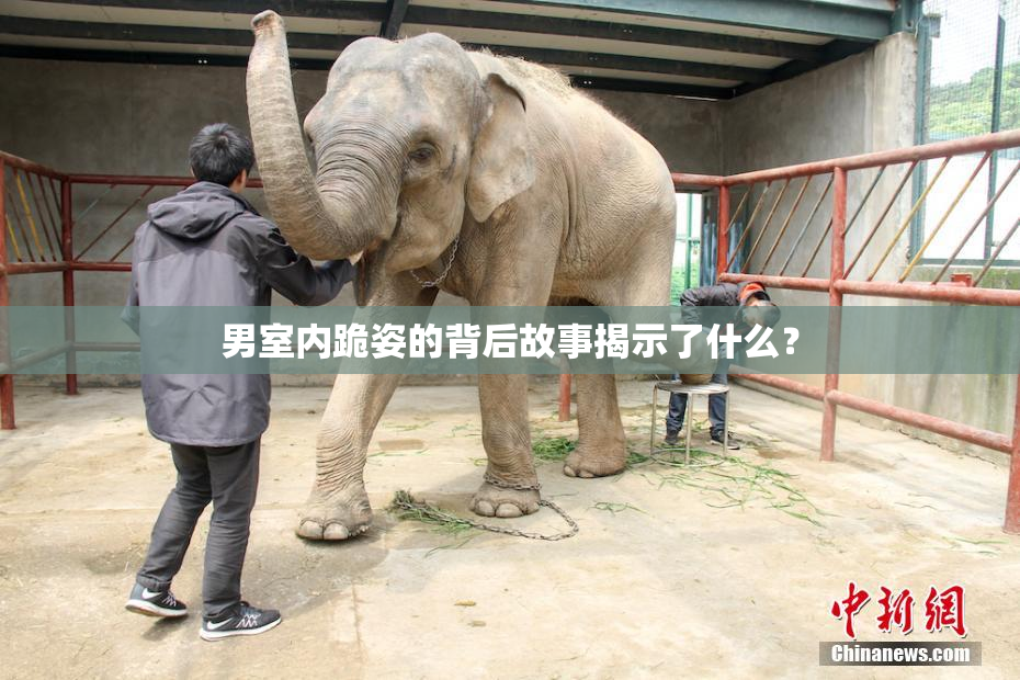 男室内跪姿的背后故事揭示了什么？