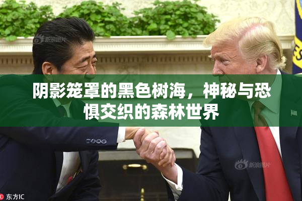 阴影笼罩的黑色树海，神秘与恐惧交织的森林世界