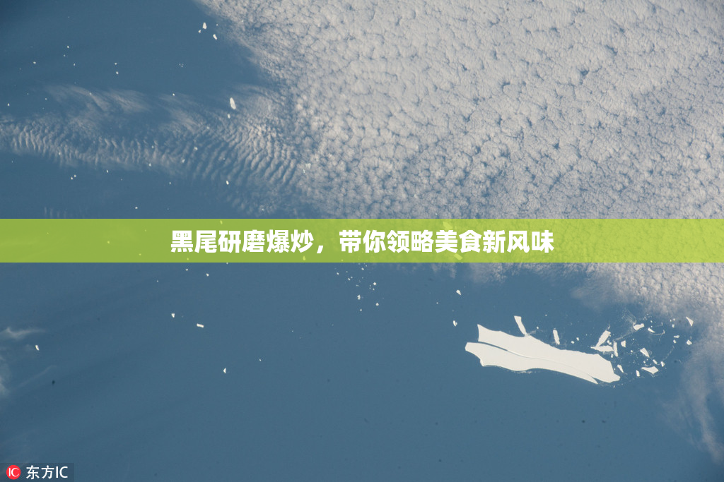 黑尾研磨爆炒，带你领略美食新风味