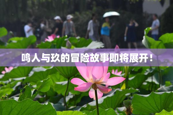 鸣人与玖的冒险故事即将展开！