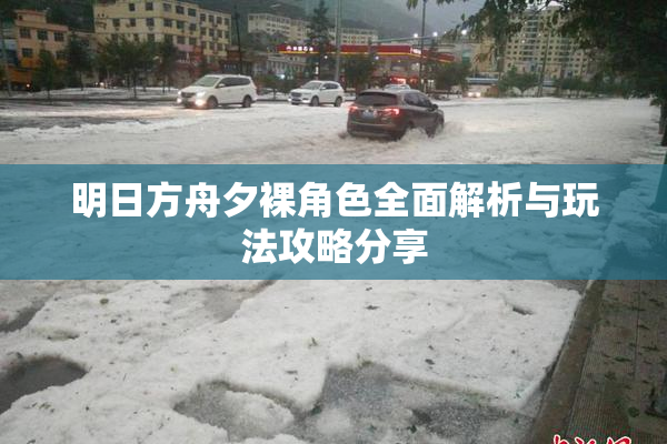 明日方舟夕裸角色全面解析与玩法攻略分享