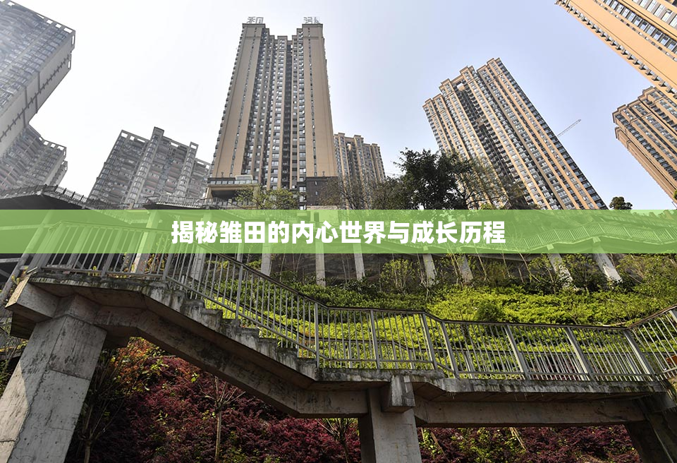 揭秘雏田的内心世界与成长历程