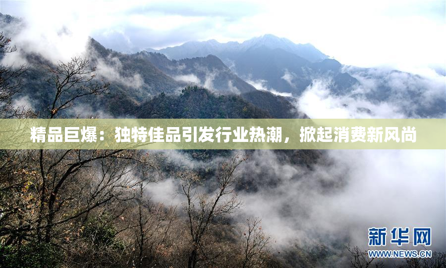 精品巨爆：独特佳品引发行业热潮，掀起消费新风尚