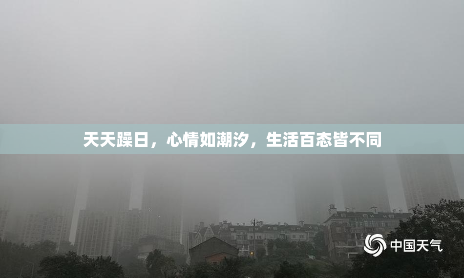 天天躁日，心情如潮汐，生活百态皆不同