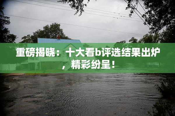 重磅揭晓：十大看b评选结果出炉，精彩纷呈！