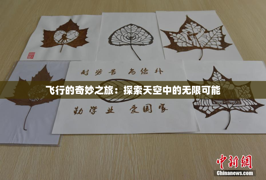 飞行的奇妙之旅：探索天空中的无限可能