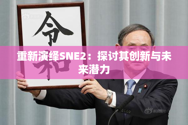 重新演绎SNE2：探讨其创新与未来潜力