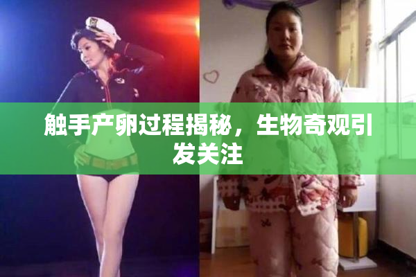 触手产卵过程揭秘，生物奇观引发关注