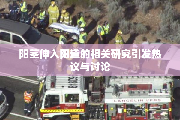 阳茎伸入阳道的相关研究引发热议与讨论