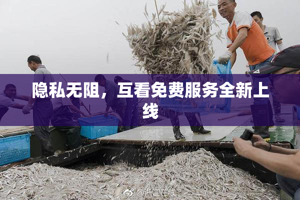 隐私无阻，互看免费服务全新上线