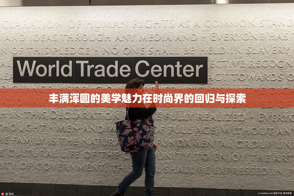 丰满浑圆的美学魅力在时尚界的回归与探索