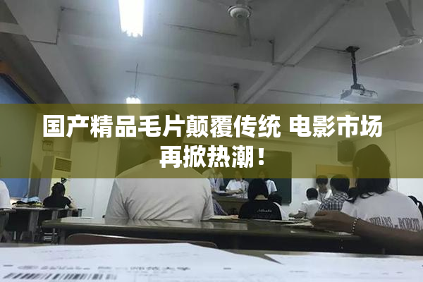 国产精品毛片颠覆传统 电影市场再掀热潮！