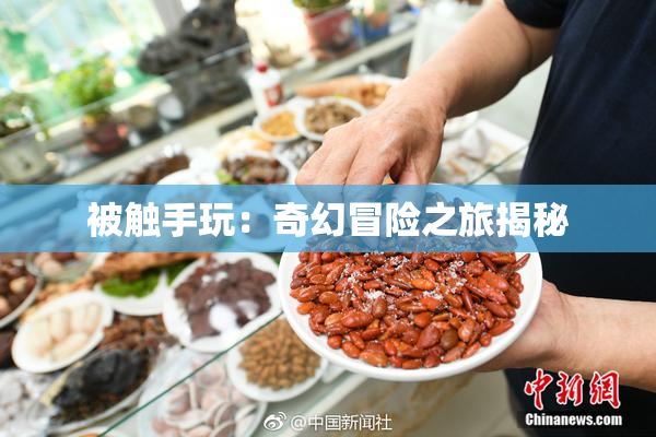 被触手玩：奇幻冒险之旅揭秘
