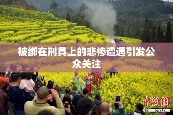 被绑在刑具上的悲惨遭遇引发公众关注