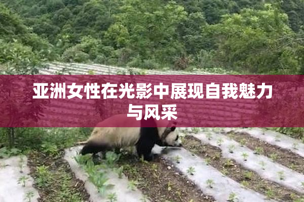 亚洲女性在光影中展现自我魅力与风采