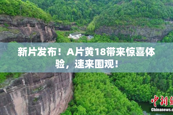 新片发布！A片黄18带来惊喜体验，速来围观！