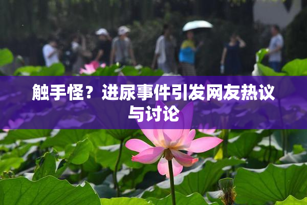 触手怪？进尿事件引发网友热议与讨论
