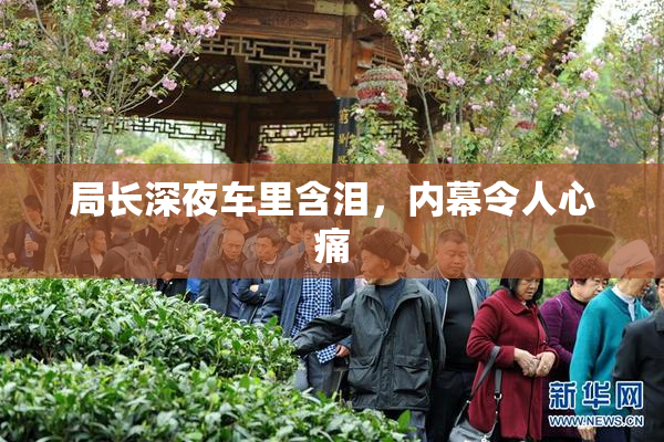 局长深夜车里含泪，内幕令人心痛
