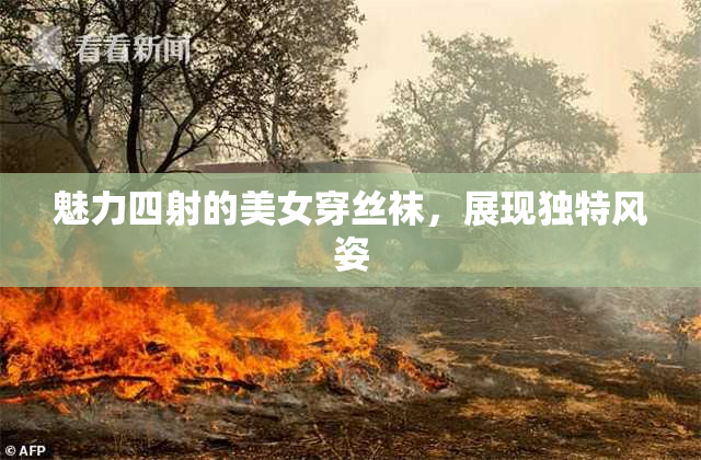 魅力四射的美女穿丝袜，展现独特风姿