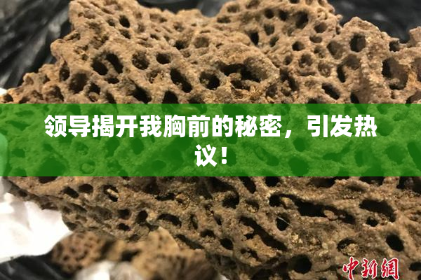 领导揭开我胸前的秘密，引发热议！