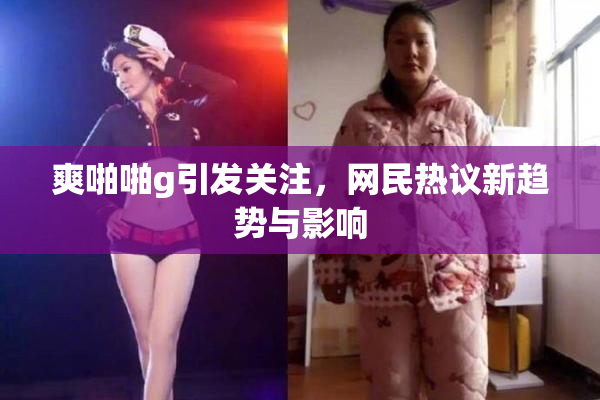 爽啪啪g引发关注，网民热议新趋势与影响