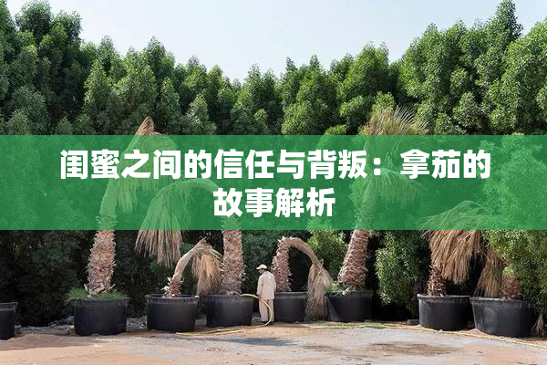 闺蜜之间的信任与背叛：拿茄的故事解析
