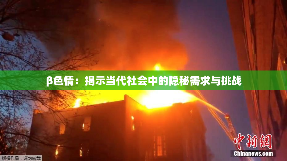 β色情：揭示当代社会中的隐秘需求与挑战