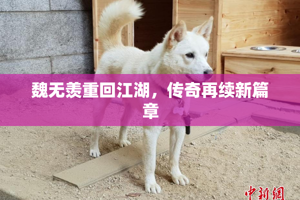 魏无羡重回江湖，传奇再续新篇章