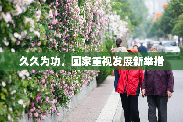 久久为功，国家重视发展新举措