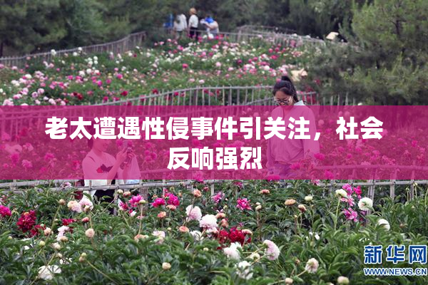 老太遭遇性侵事件引关注，社会反响强烈
