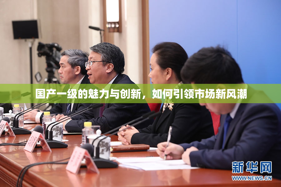 国产一级的魅力与创新，如何引领市场新风潮
