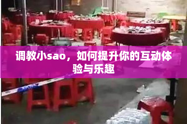 调教小sao，如何提升你的互动体验与乐趣