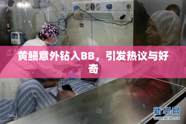 黄鳝意外钻入BB，引发热议与好奇