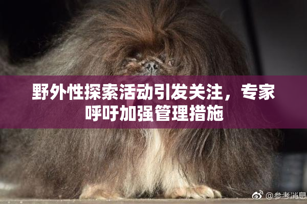 野外性探索活动引发关注，专家呼吁加强管理措施
