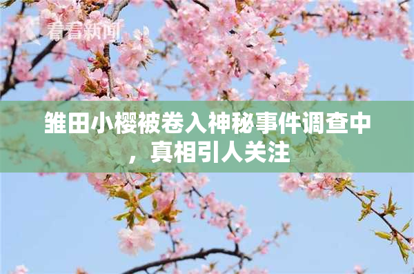 雏田小樱被卷入神秘事件调查中，真相引人关注