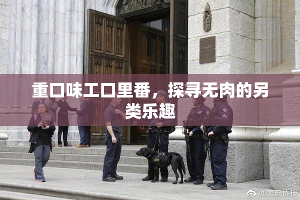 重口味工口里番，探寻无肉的另类乐趣
