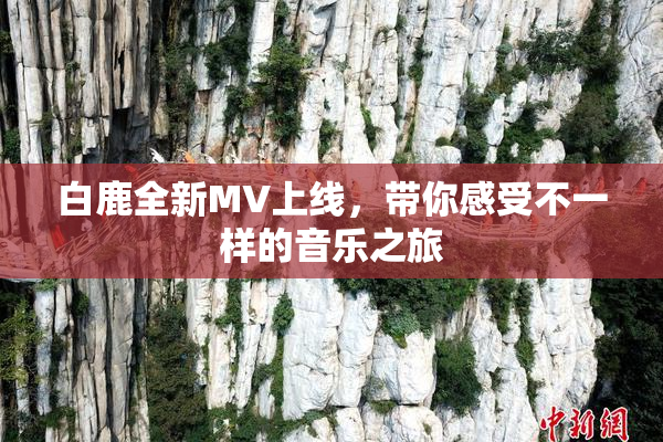 白鹿全新MV上线，带你感受不一样的音乐之旅
