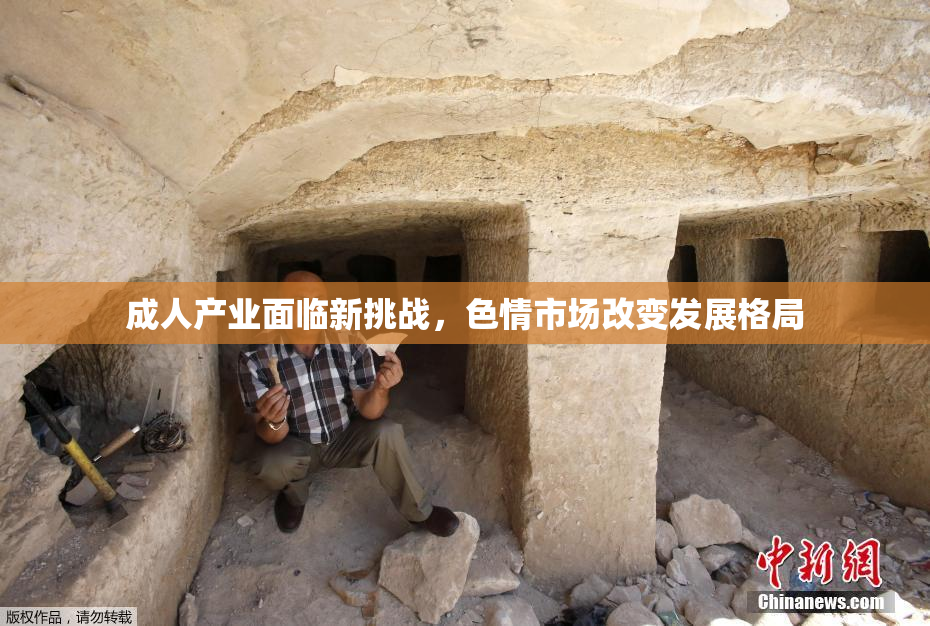 成人产业面临新挑战，色情市场改变发展格局