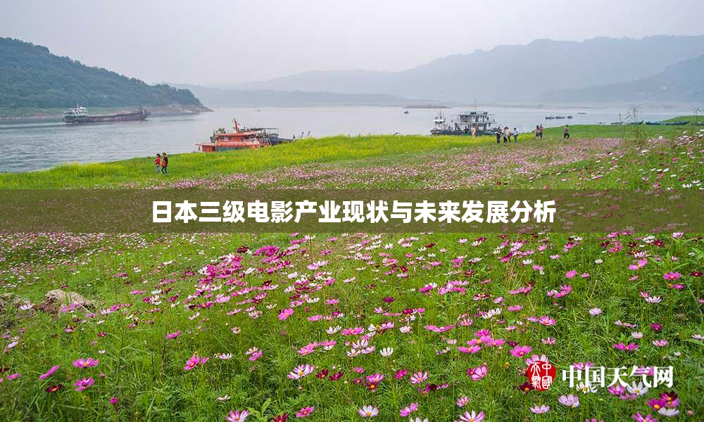 日本三级电影产业现状与未来发展分析