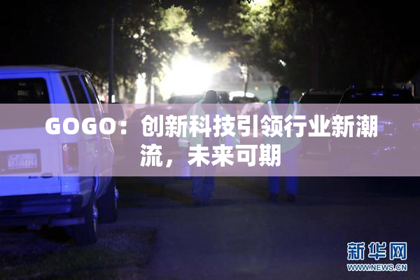GOGO：创新科技引领行业新潮流，未来可期