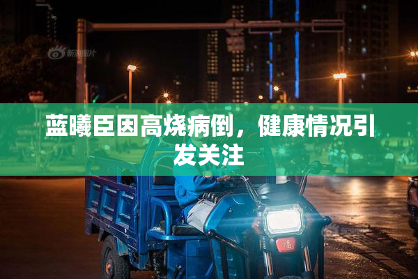 蓝曦臣因高烧病倒，健康情况引发关注