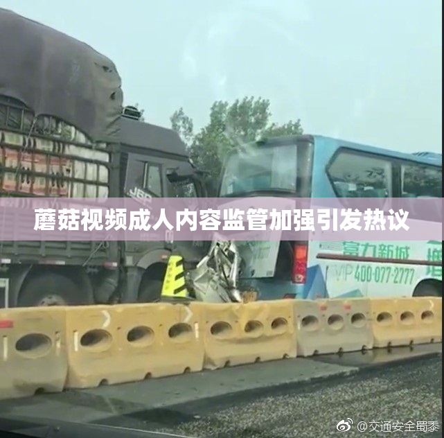蘑菇视频成人内容监管加强引发热议