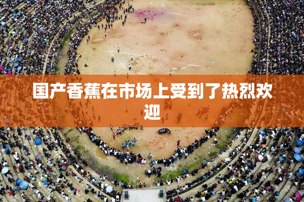 国产香蕉在市场上受到了热烈欢迎