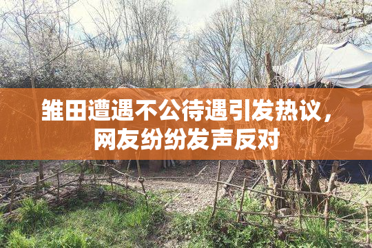 雏田遭遇不公待遇引发热议，网友纷纷发声反对
