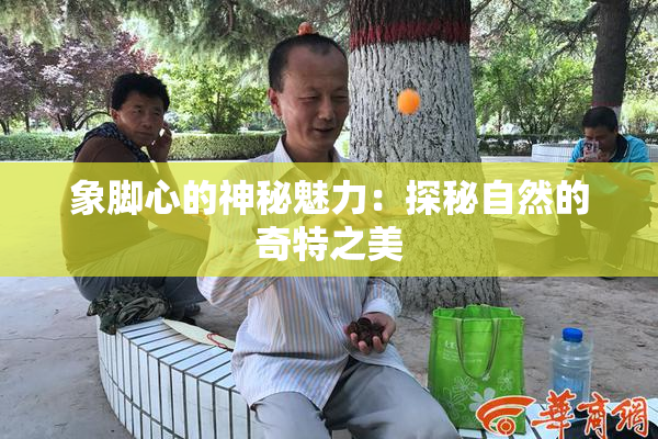 象脚心的神秘魅力：探秘自然的奇特之美