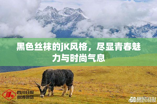 黑色丝袜的jK风格，尽显青春魅力与时尚气息