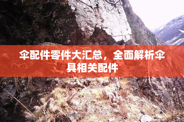 伞配件零件大汇总，全面解析伞具相关配件